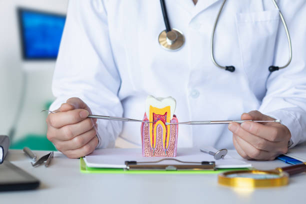 Best Emergency TMJ Treatment in Fort Defiance, AZ